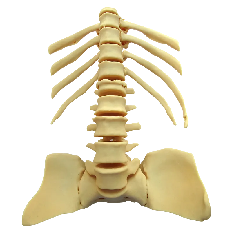 3D принтер Photocentric Liquid Crystal Pro