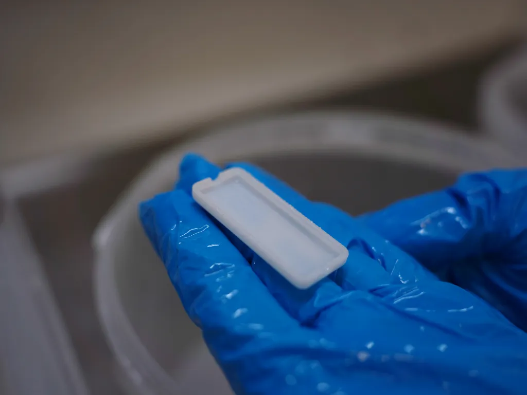 DSC00029 — копия.png