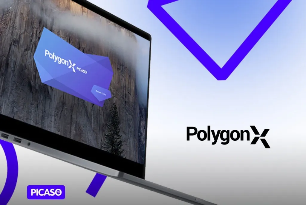 picaso xl s2 (6).jpg