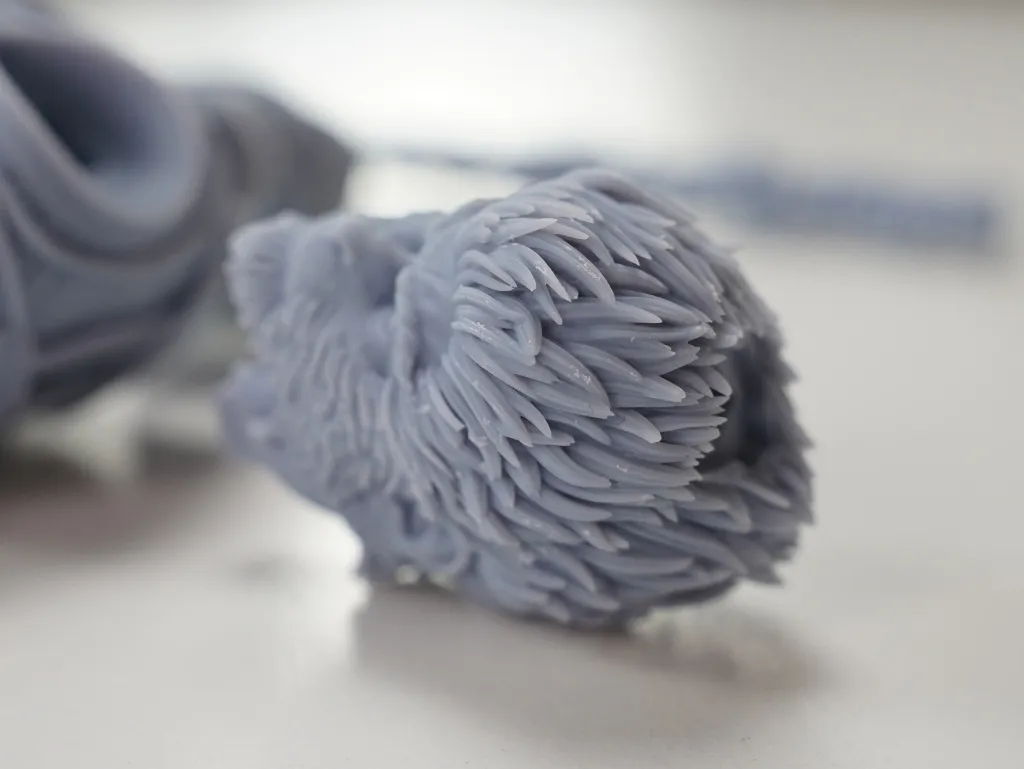 66 (1).jpg 66 (1).jpg