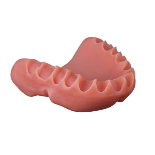 Stratasys FotoDent denture 385 nm by Dreve