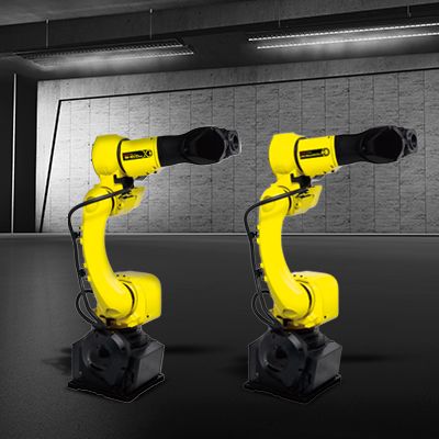 Fanuc M-10iD:16S 4.jpeg