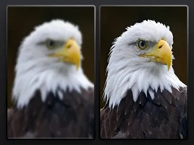 1_6_2K_Monochrome_LCD.jpg 1_6_2K_Monochrome_LCD.jpg