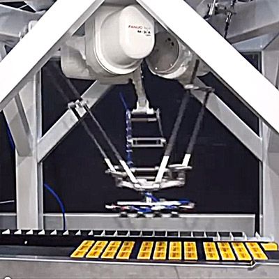 Fanuc M-3iA:12H 5.jpeg Fanuc M-3iA:12H 5.jpeg