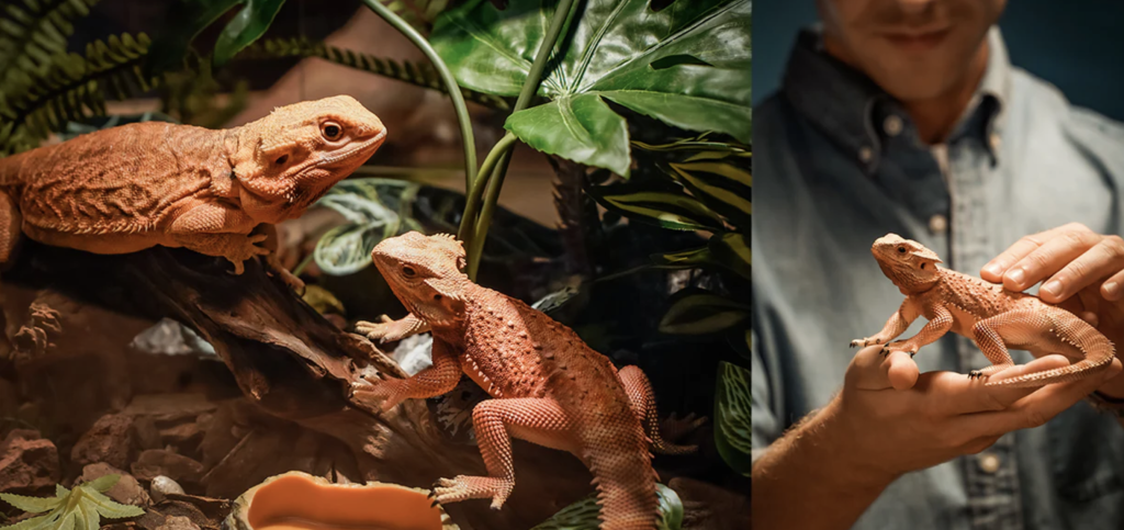 Снимок экрана 2023-07-07 в 12.43.45 PM.png Снимок экрана 2023-07-07 в 12.43.45 PM.png