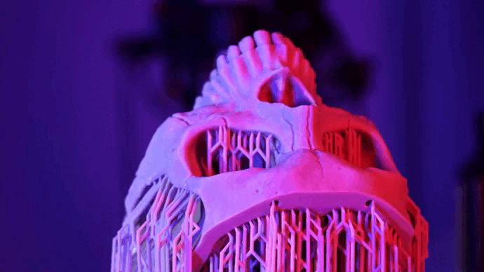 rex8k-cherepok.gif rex8k-cherepok.gif